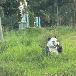 golf course pump test pampanga